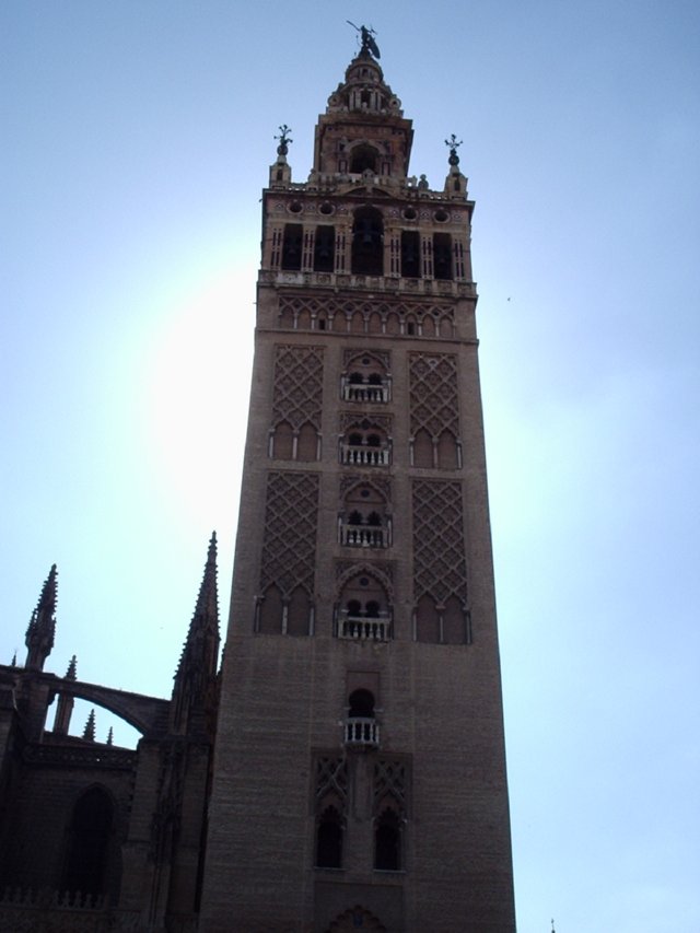 P5190135 la Giralda vanuit Plaza de Virgen de los Reyes  - Catedral de Sevillla - Sevilla